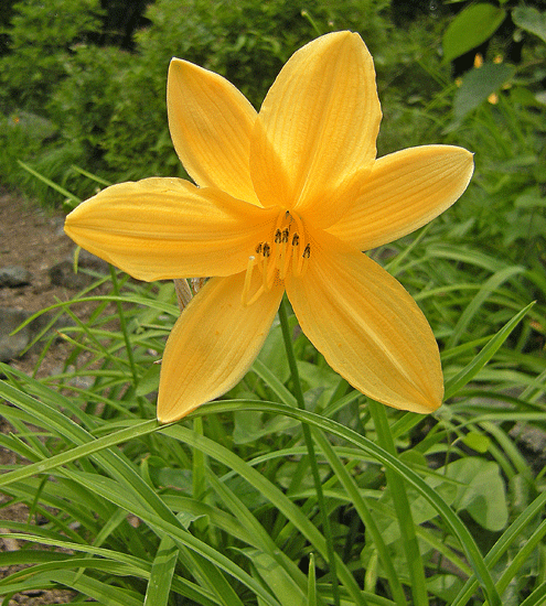 a0001354_2375854.gif