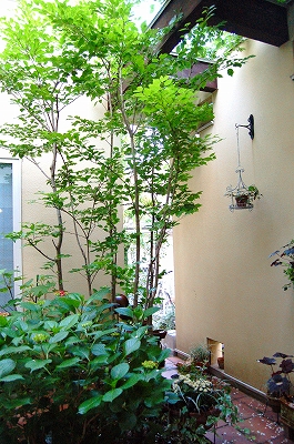 e0025655_5215338.jpg