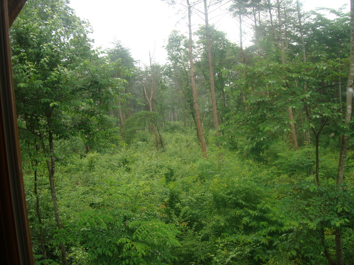 f0198556_20243828.jpg