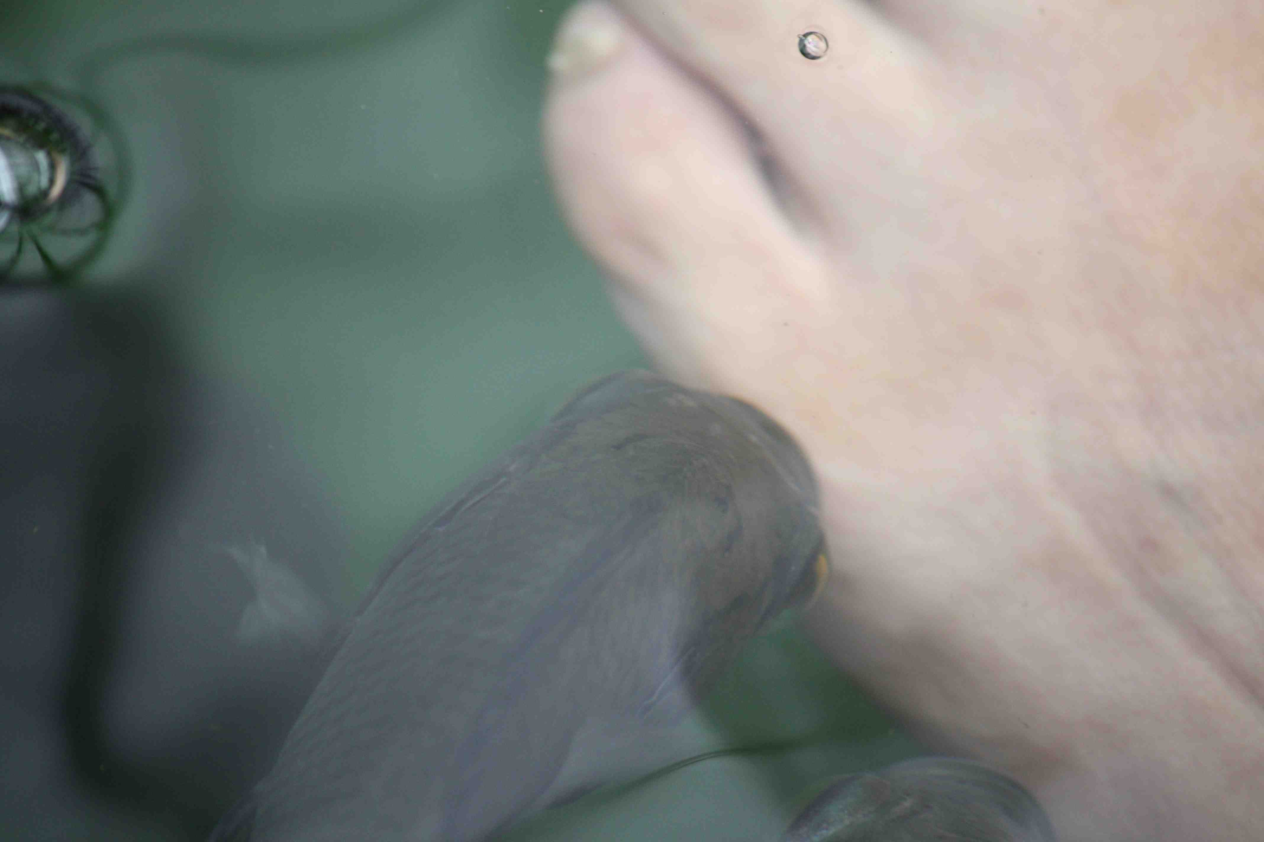 f0233356_7292060.jpg