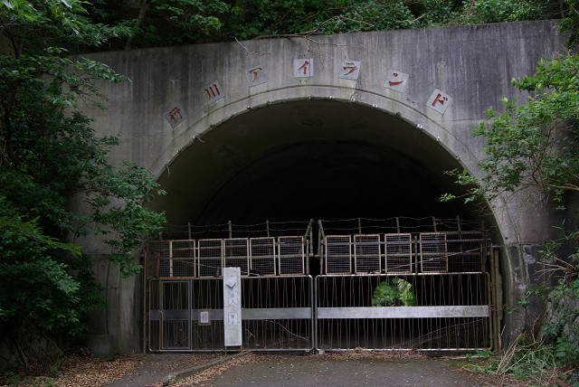 c0080357_22442448.jpg