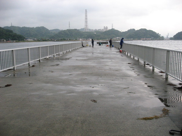 d0254257_17291646.jpg