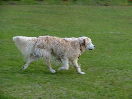 c0097558_15213647.jpg