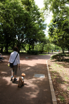 e0129958_22225886.jpg