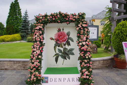 e0213360_21164527.jpg