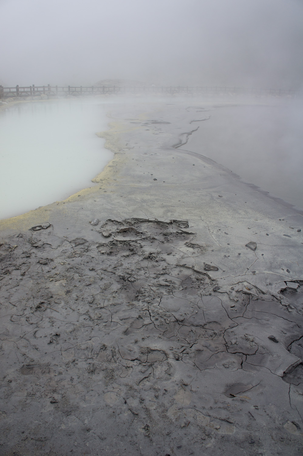 f0227662_2364723.jpg