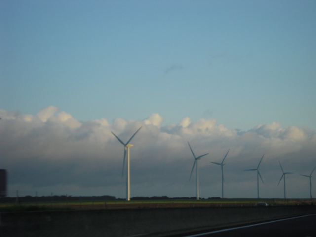 b0169771_5455149.jpg