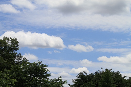 e0062371_21134319.jpg