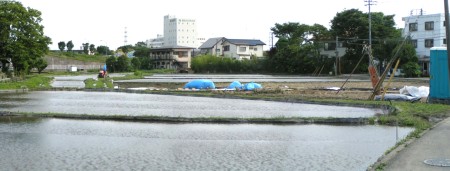 c0112172_2584343.jpg