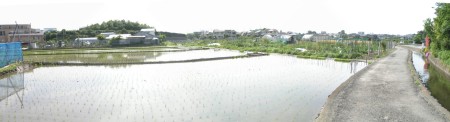 c0112172_2594466.jpg