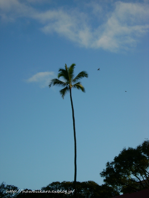 e0277172_17154794.jpg