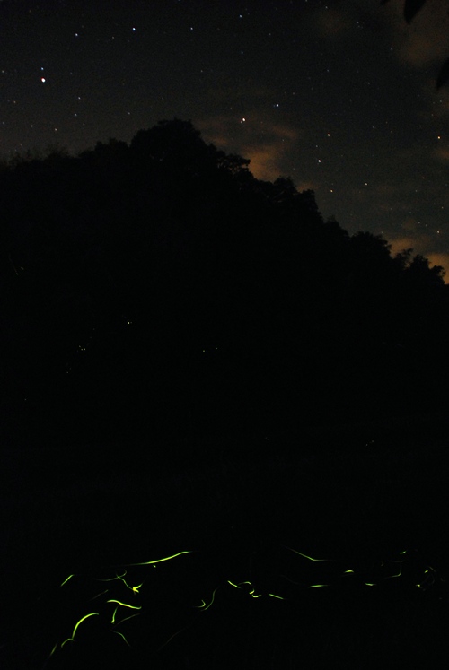 c0181073_2243824.jpg