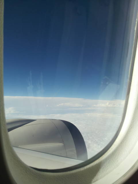 a0113874_8134559.jpg