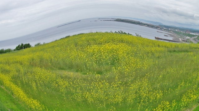 c0183777_20371683.jpg
