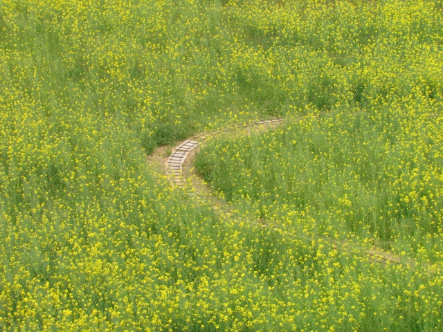 c0183777_20374974.jpg