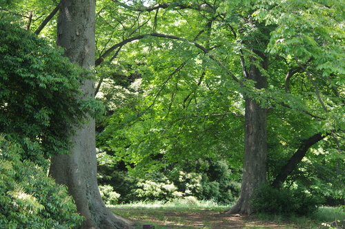 f0054677_712352.jpg