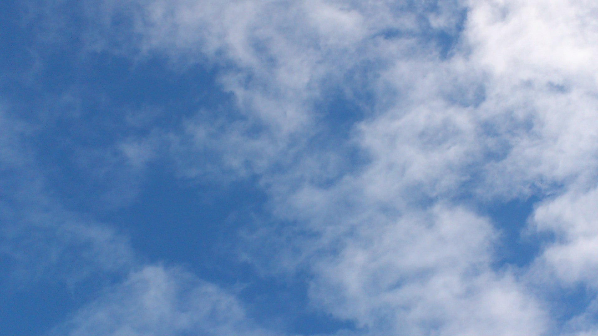 a0137279_751012.jpg