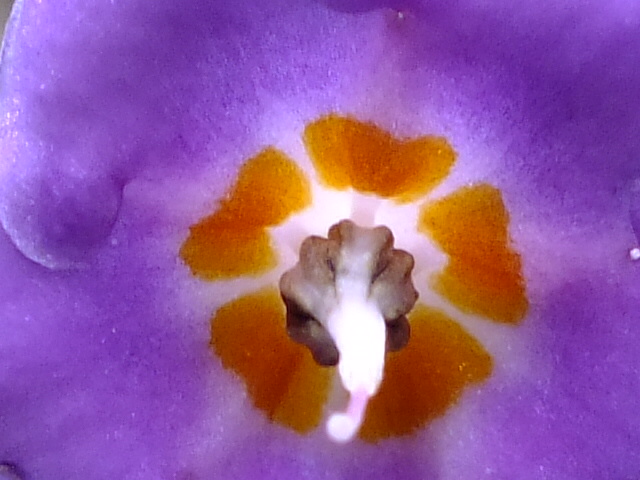e0145782_1831923.jpg