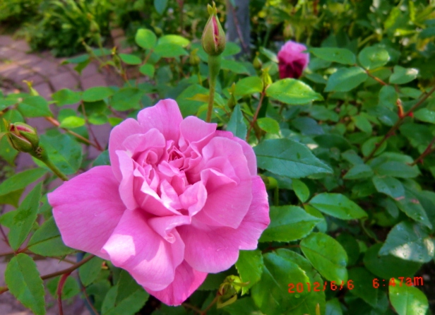 c0078586_2256274.jpg