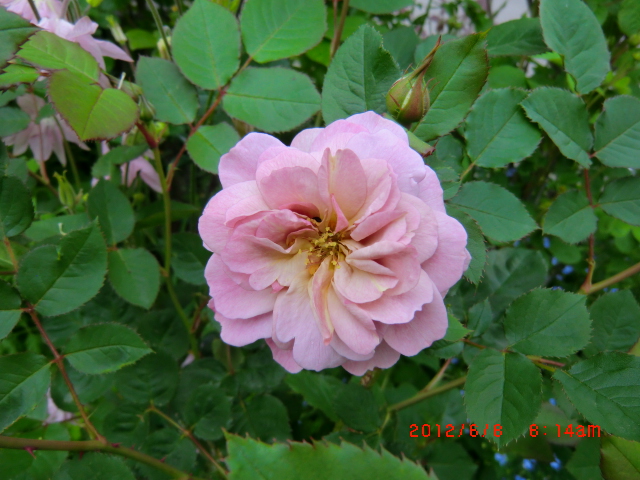 c0078586_22585431.jpg