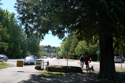 d0129786_1259487.jpg