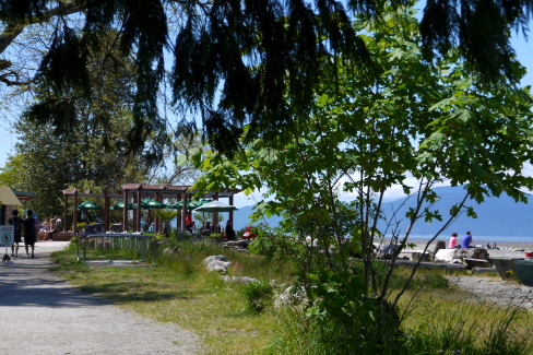 d0129786_1314486.jpg
