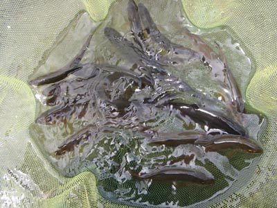 c0146788_17134089.jpg