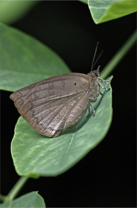 d0209988_1959109.jpg