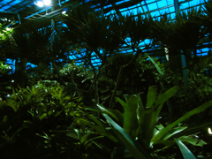 c0207189_2213089.jpg