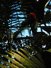 c0207189_2213240.jpg