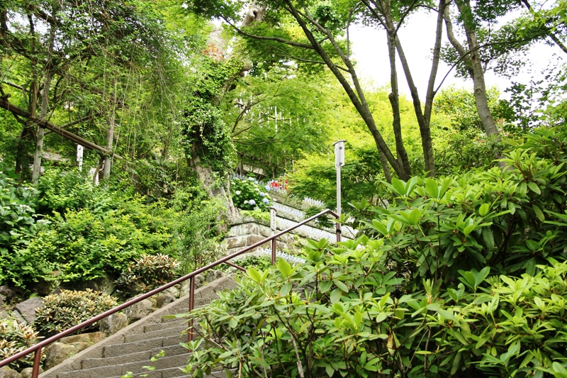 a0127090_839241.jpg