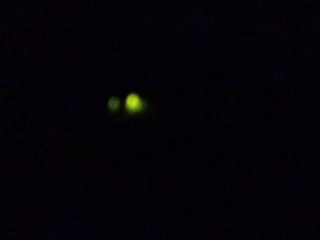a0260090_85811.jpg