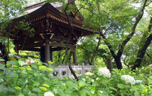 d0099791_2258079.jpg
