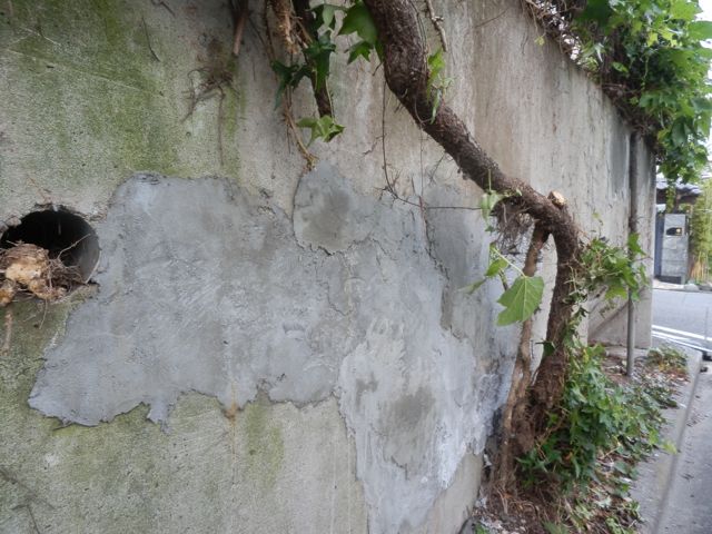 f0130894_2217691.jpg