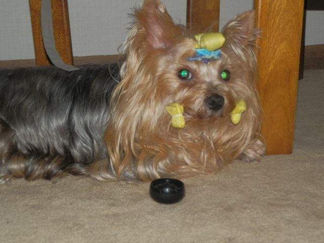 f0130894_22203497.jpg
