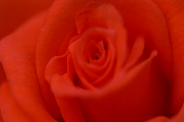 e0189298_015359.jpg