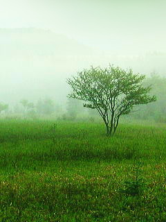 c0074000_22285995.jpg