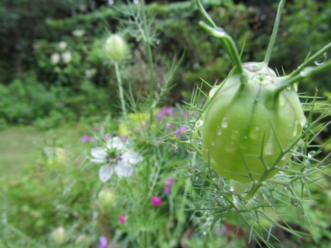 e0033301_11183288.jpg