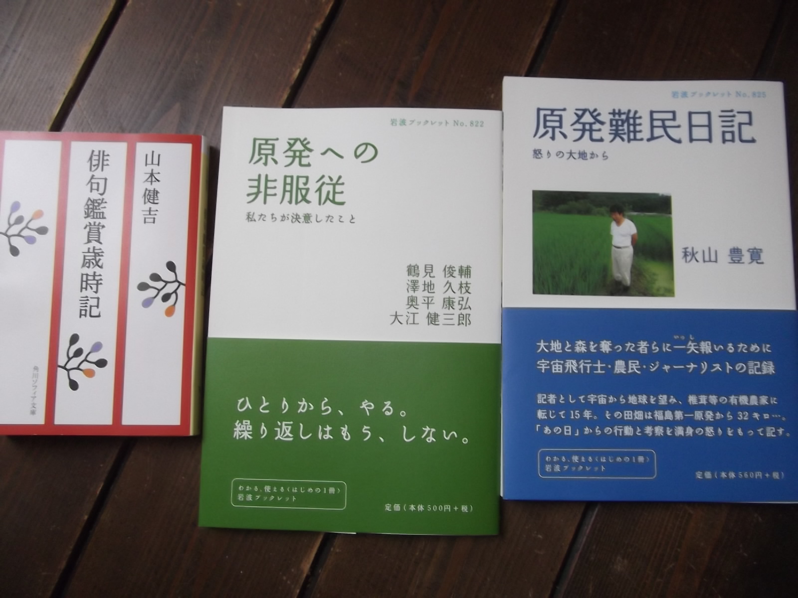 a0203003_14103419.jpg