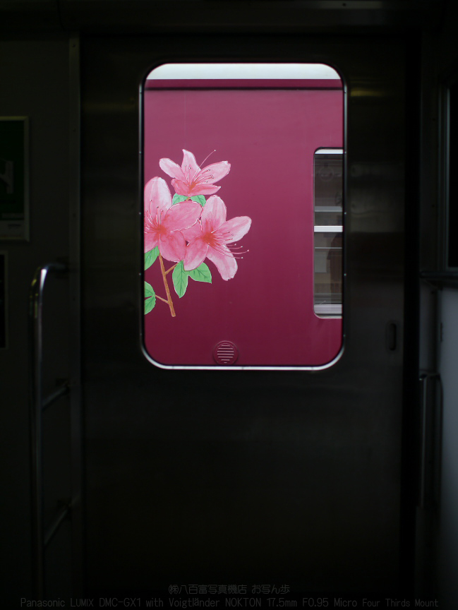 f0221510_2352883.jpg