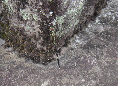 a0019212_17422037.jpg
