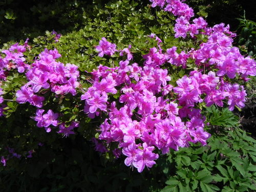 e0238313_9103277.jpg