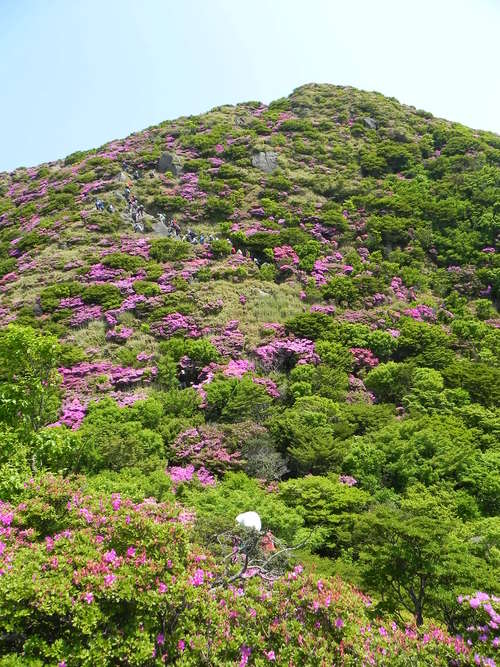 e0238313_9213612.jpg