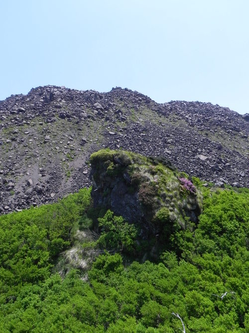 e0238313_9415182.jpg