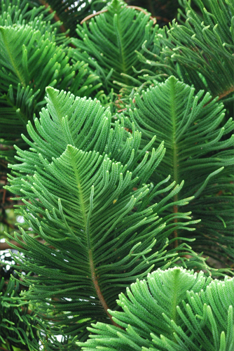 e0123920_23324071.jpg
