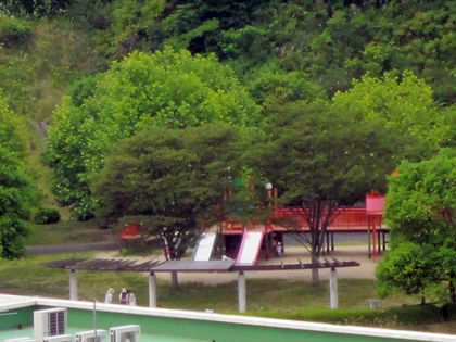 a0105023_15581825.jpg