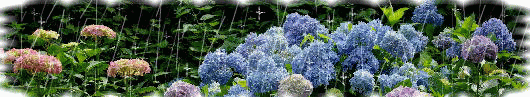 a0098027_1832636.gif