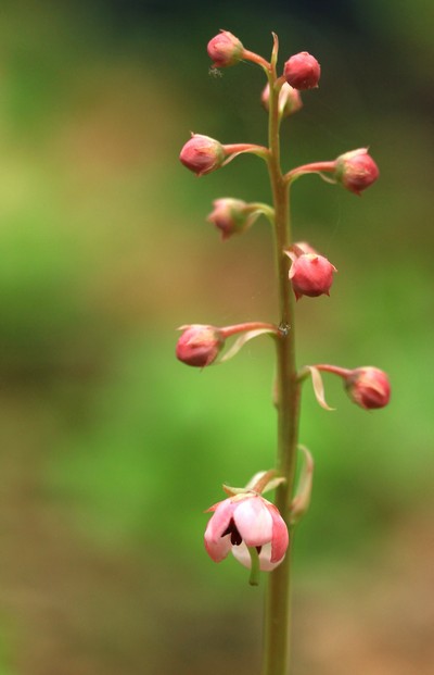 c0104227_22561569.jpg