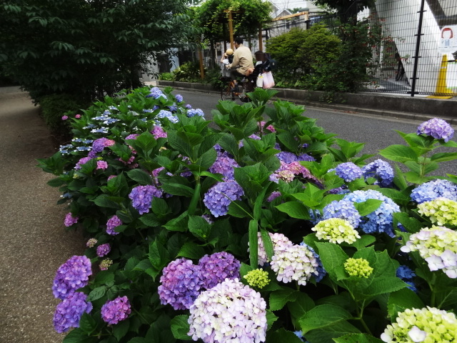 e0016828_1242590.jpg
