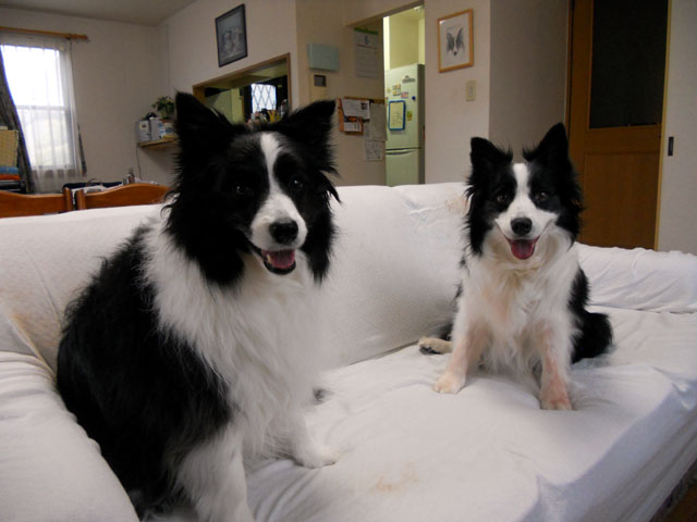 d0059230_921438.jpg